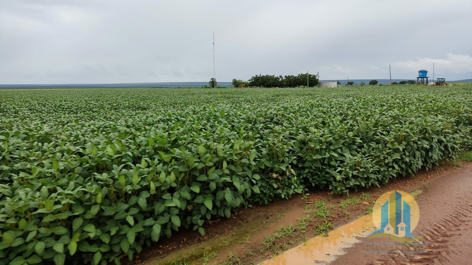 Fazenda em São Félix de Balsas/Maranhão — Ref TV01GK — Imagem 3
