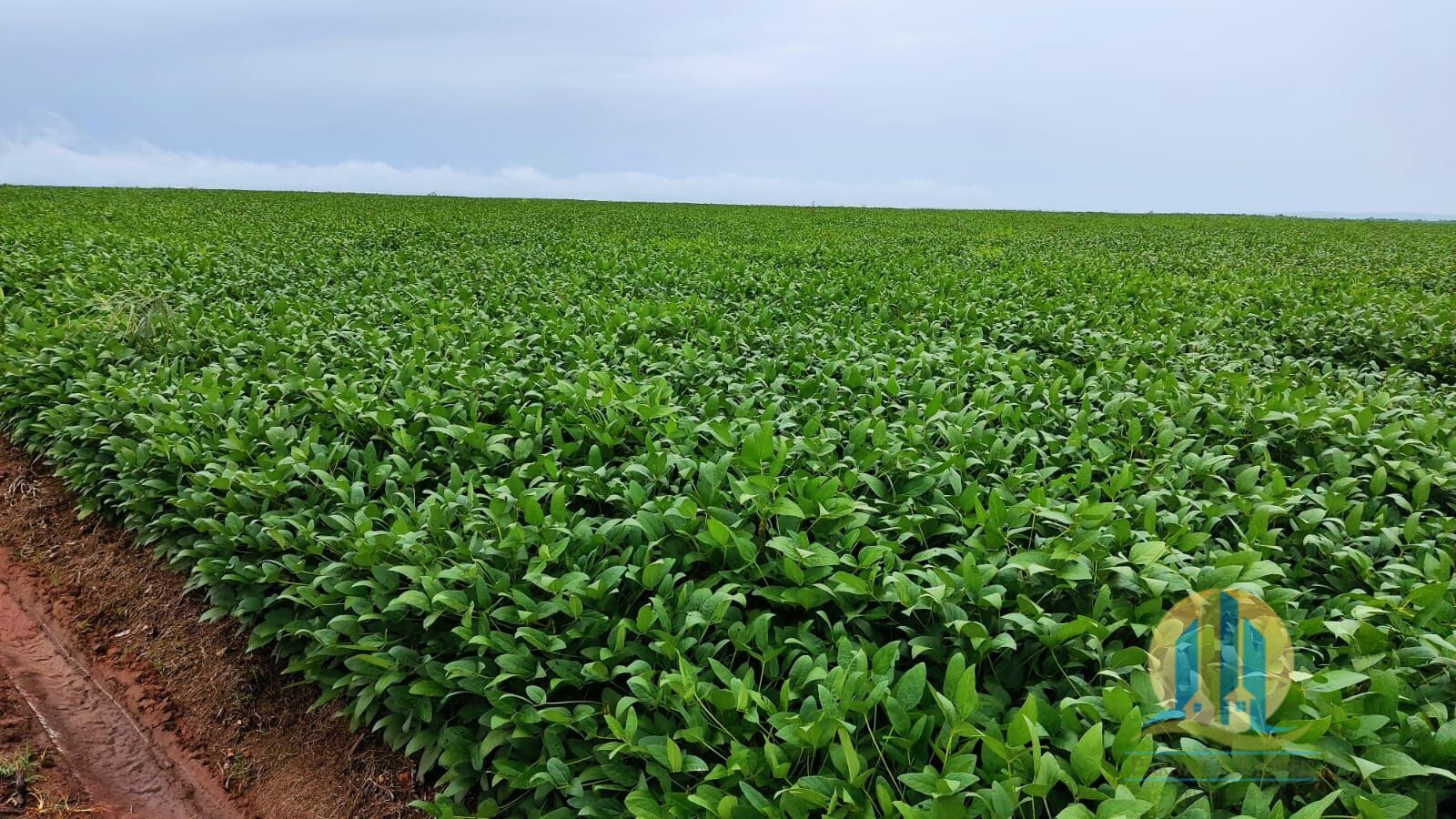 Fazenda em São Félix de Balsas/Maranhão — Ref TV01GK — Imagem 9