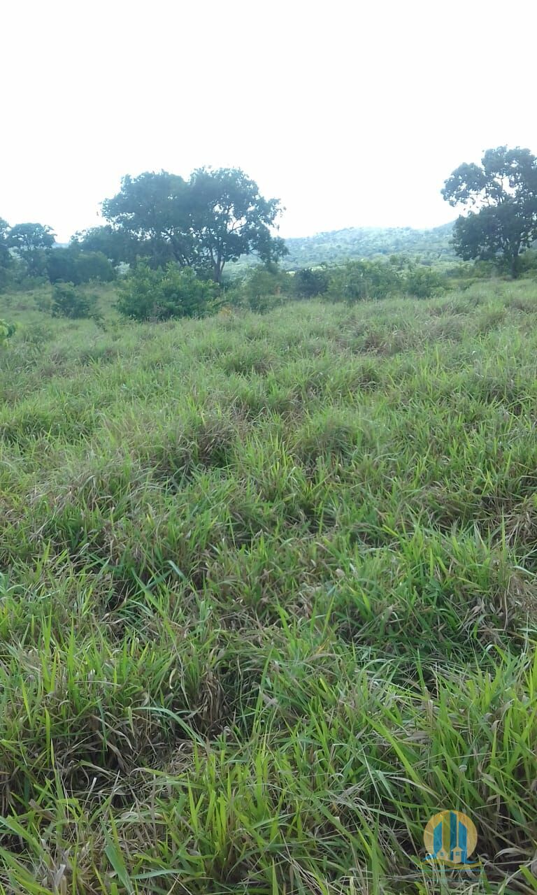 Fazenda em Pindorama do Tocantins/Tocantins — Ref PXNHDU — Imagem 26