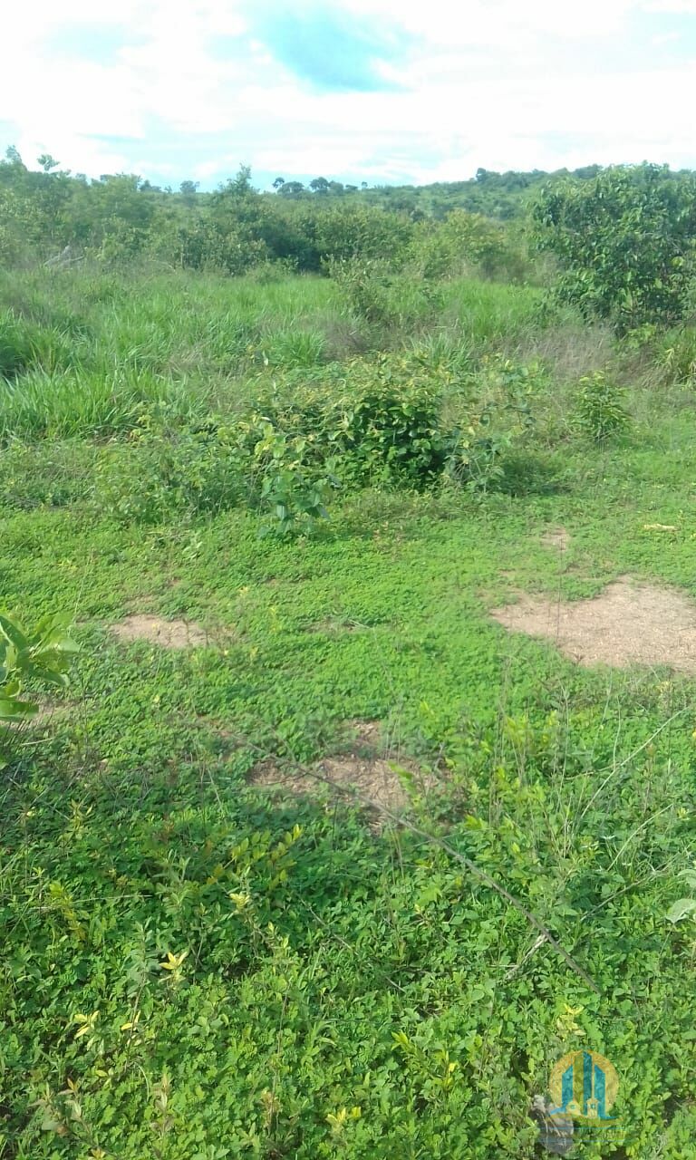 Fazenda em Pindorama do Tocantins/Tocantins — Ref PXNHDU — Imagem 23