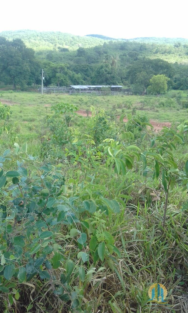 Fazenda em Pindorama do Tocantins/Tocantins — Ref PXNHDU — Imagem 33