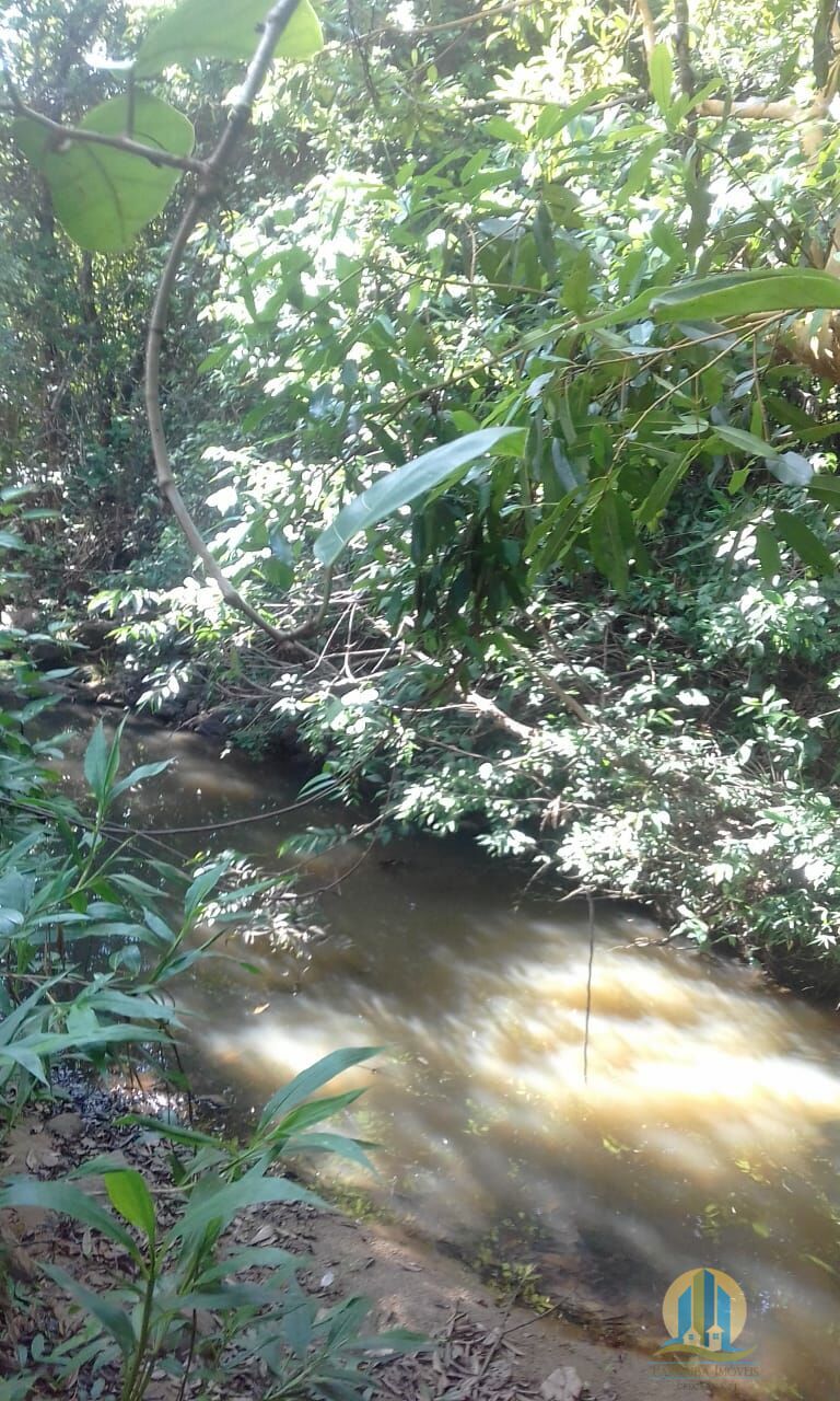 Fazenda em Pindorama do Tocantins/Tocantins — Ref PXNHDU — Imagem 5