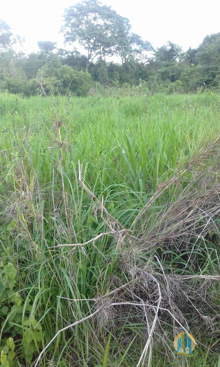 Fazenda em Pindorama do Tocantins/Tocantins — Ref PXNHDU — Imagem 21