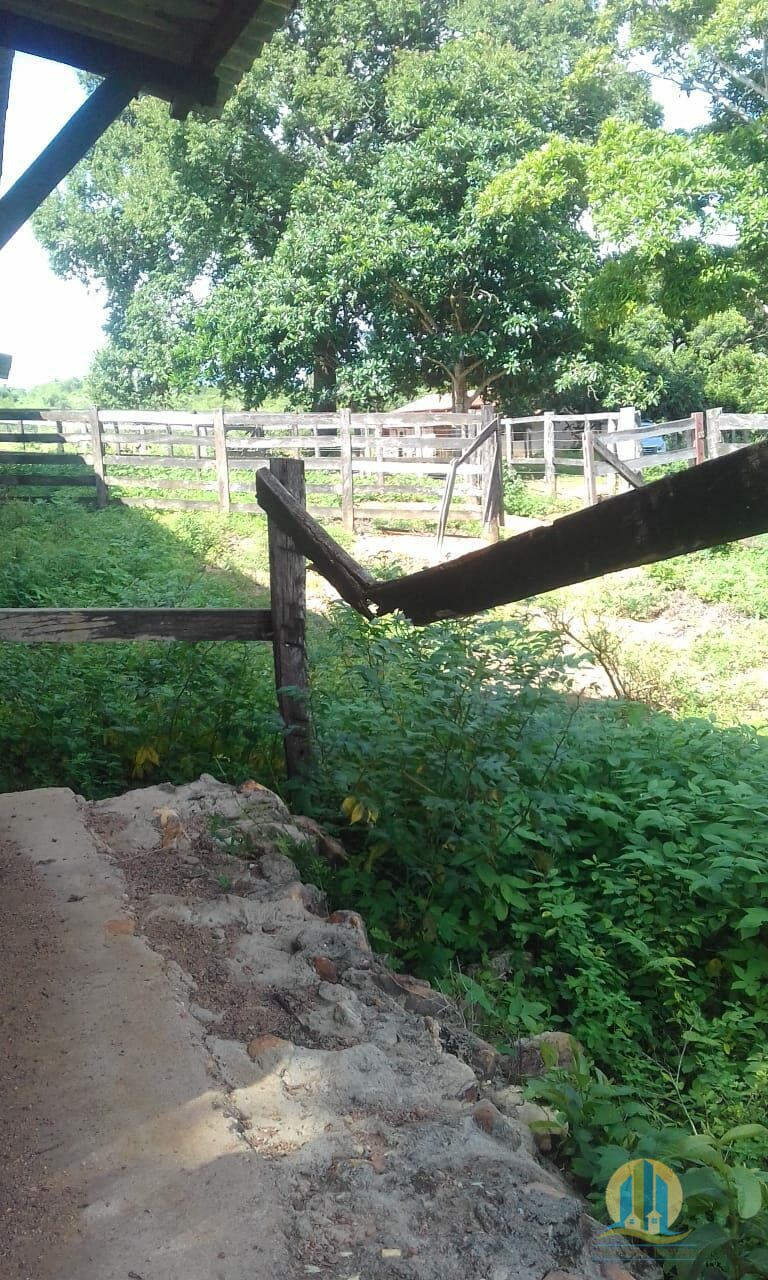 Fazenda em Pindorama do Tocantins/Tocantins — Ref PXNHDU — Imagem 15