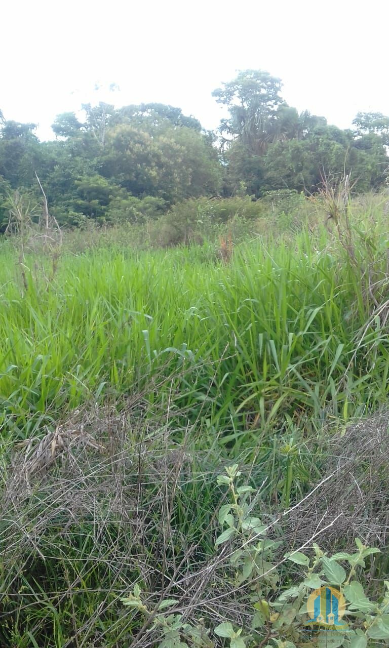 Fazenda em Pindorama do Tocantins/Tocantins — Ref PXNHDU — Imagem 24