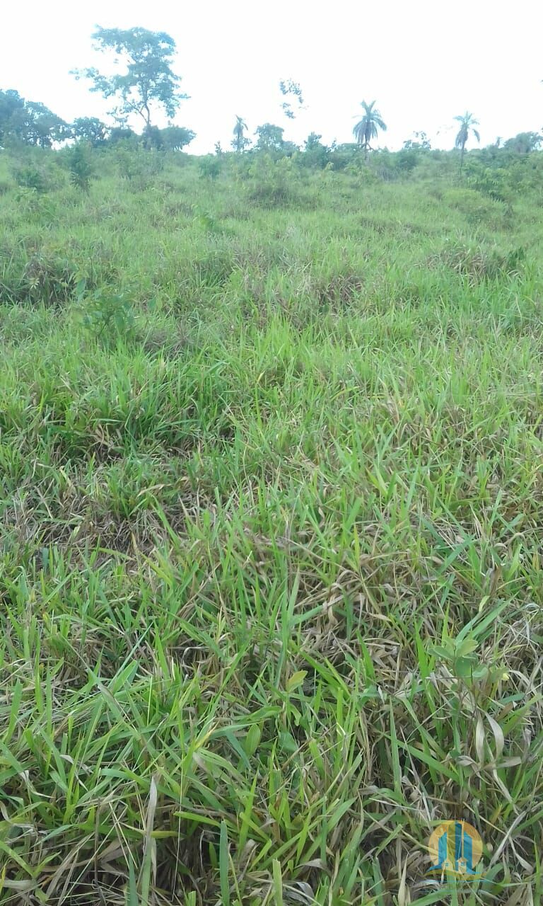 Fazenda em Pindorama do Tocantins/Tocantins — Ref PXNHDU — Imagem 34