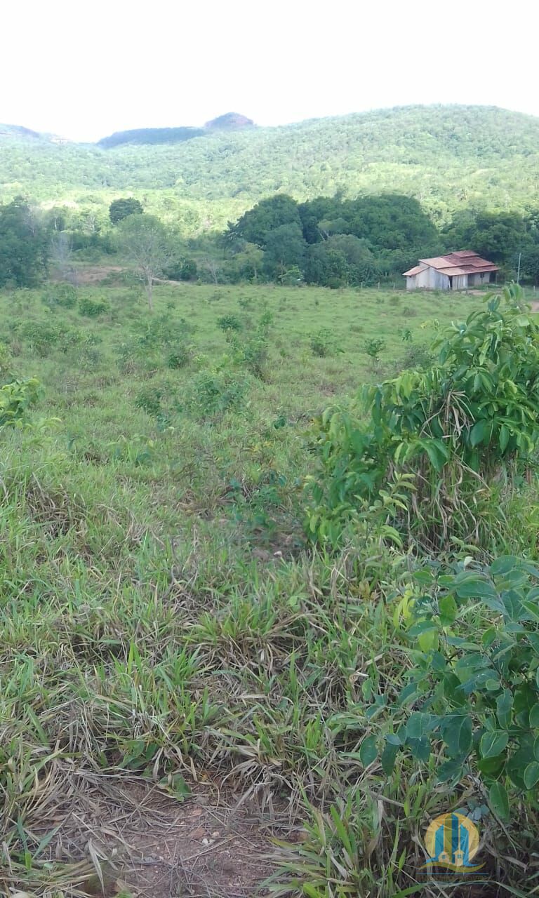 Fazenda em Pindorama do Tocantins/Tocantins — Ref PXNHDU — Imagem 27