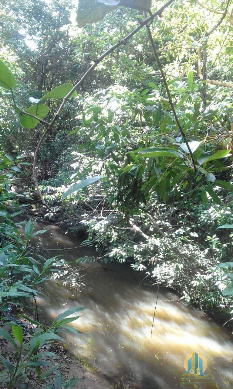 Fazenda em Pindorama do Tocantins/Tocantins — Ref PXNHDU — Imagem 9