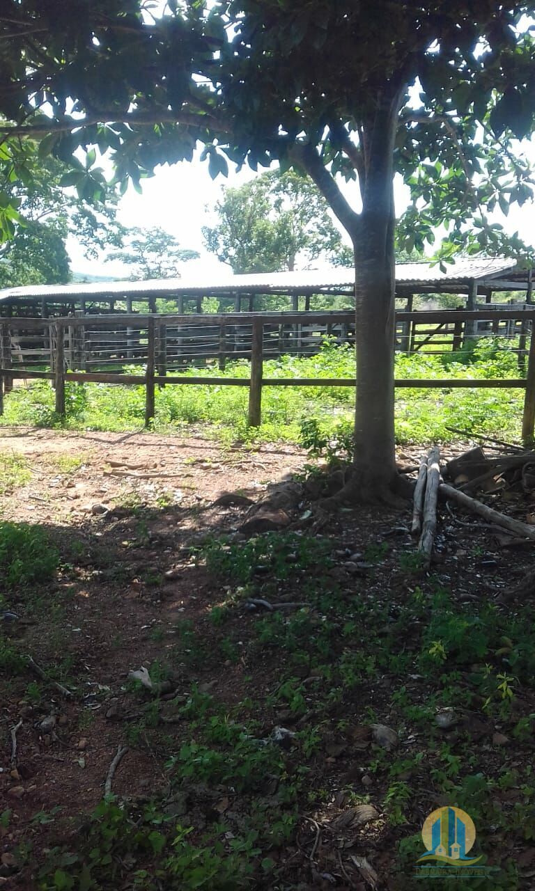 Fazenda em Pindorama do Tocantins/Tocantins — Ref PXNHDU — Imagem 13