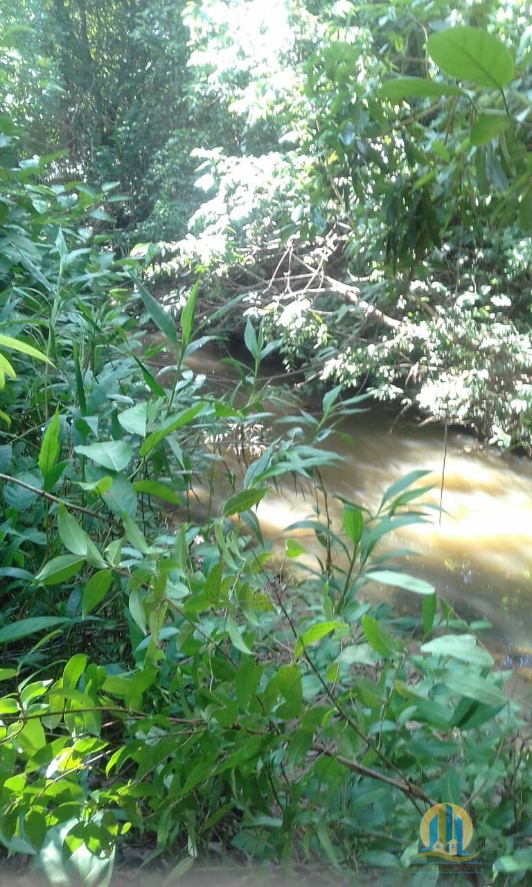 Fazenda em Pindorama do Tocantins/Tocantins — Ref PXNHDU — Imagem 6