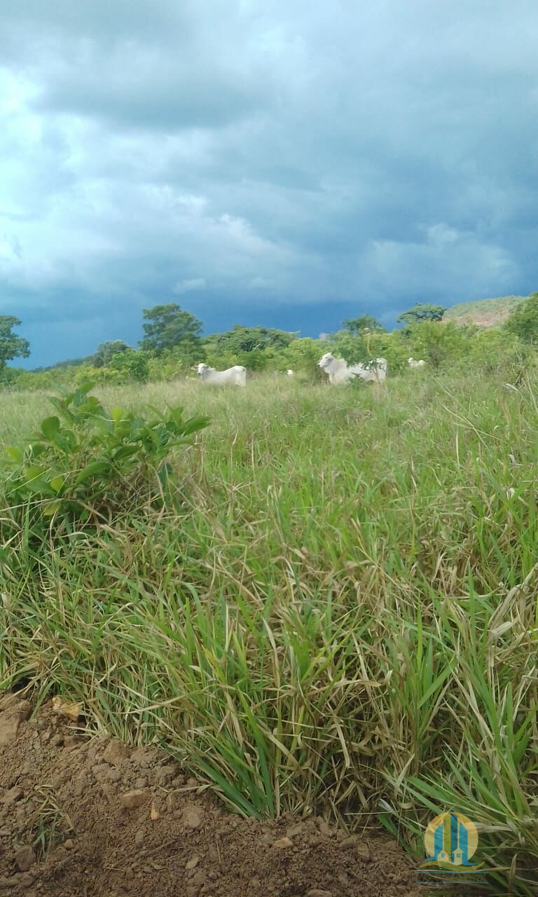 Fazenda em Pindorama do Tocantins/Tocantins — Ref PXNHDU — Imagem 22