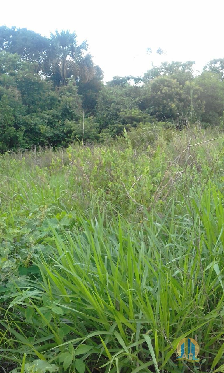 Fazenda em Pindorama do Tocantins/Tocantins — Ref PXNHDU — Imagem 31