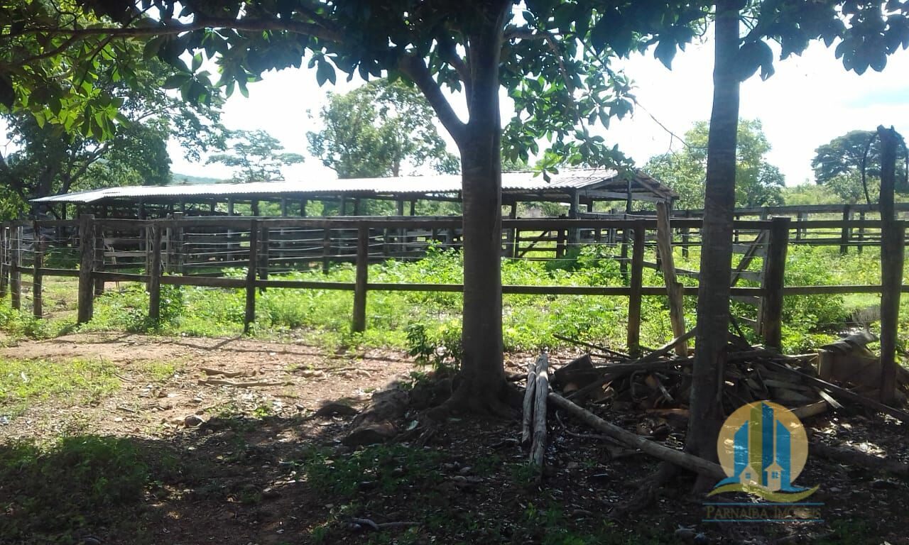 Fazenda em Pindorama do Tocantins/Tocantins — Ref PXNHDU — Imagem 10