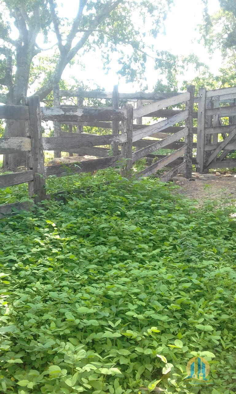 Fazenda em Pindorama do Tocantins/Tocantins — Ref PXNHDU — Imagem 20