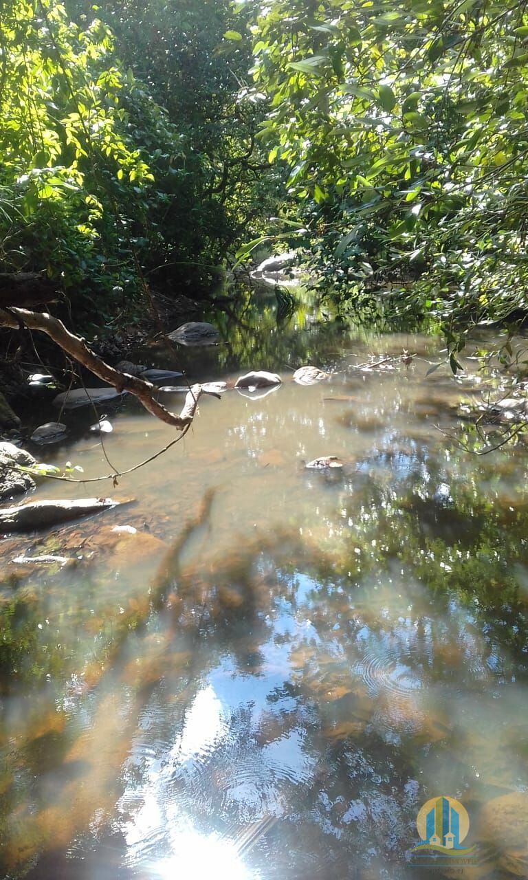 Fazenda em Pindorama do Tocantins/Tocantins — Ref PXNHDU — Imagem 7