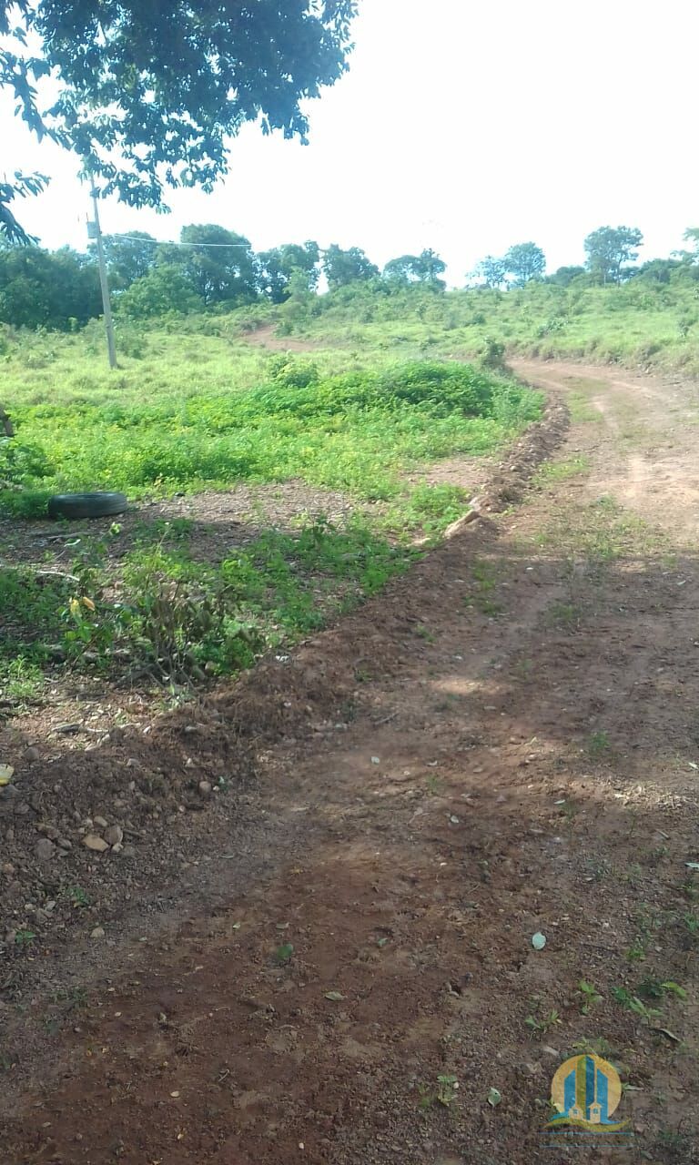 Fazenda em Pindorama do Tocantins/Tocantins — Ref PXNHDU — Imagem 32