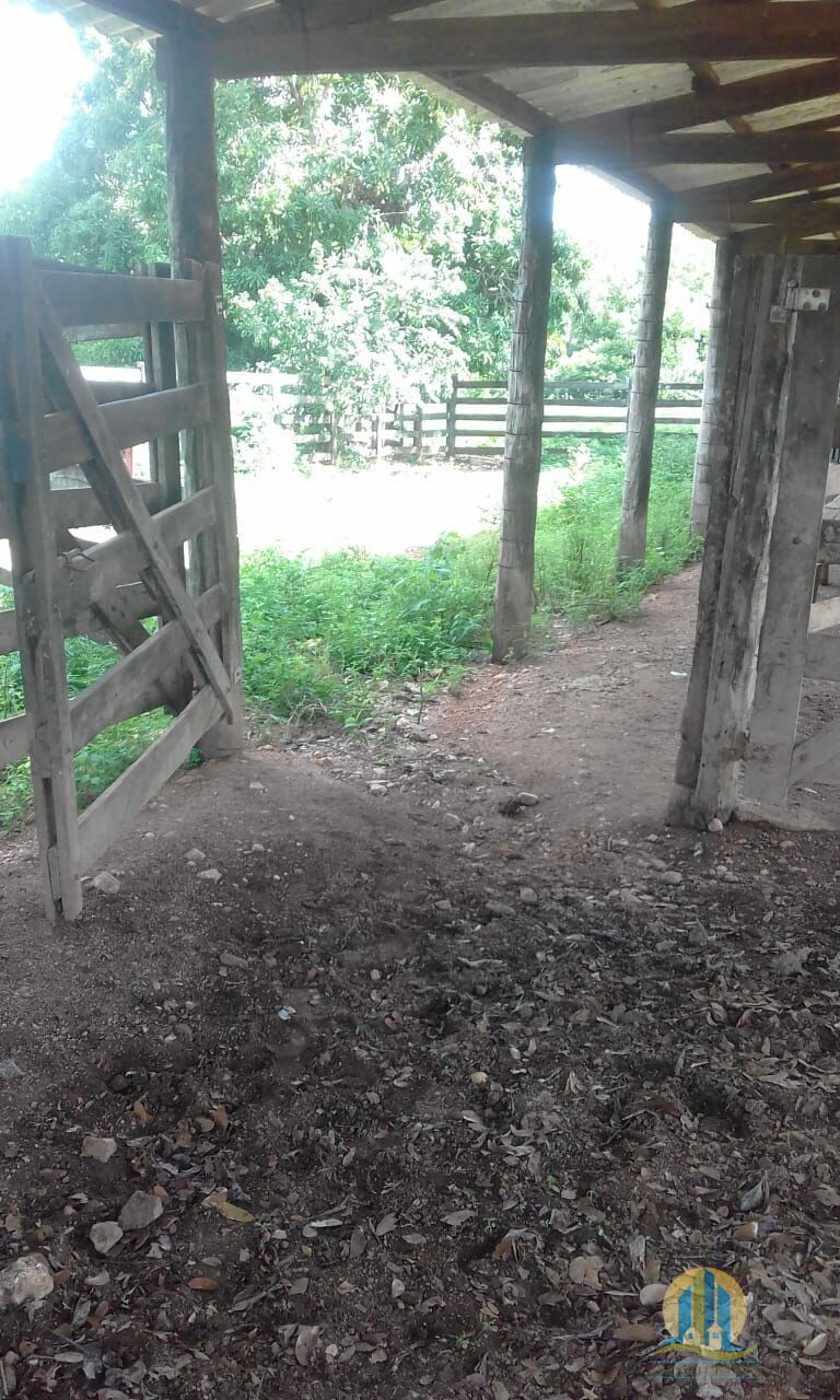 Fazenda em Pindorama do Tocantins/Tocantins — Ref PXNHDU — Imagem 12