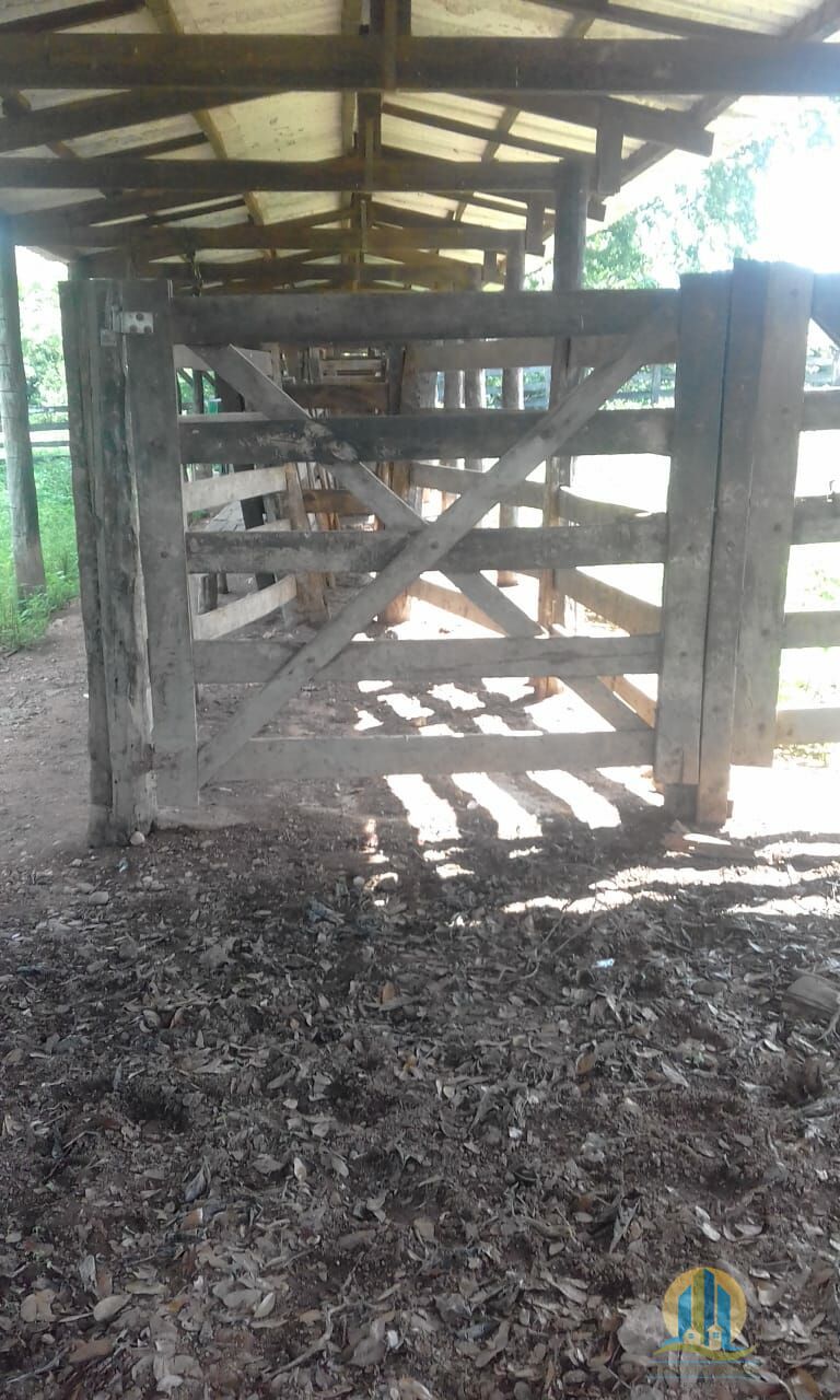 Fazenda em Pindorama do Tocantins/Tocantins — Ref PXNHDU — Imagem 19