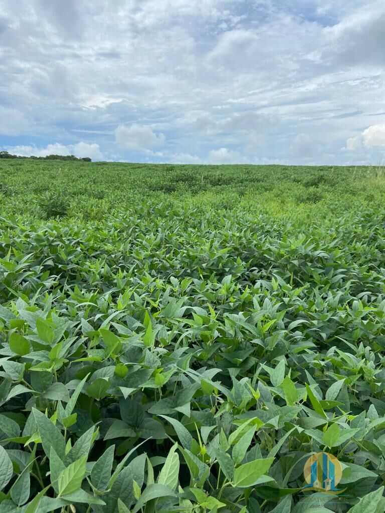 Fazenda em Montes Claros de Goiás/Goiás — Ref UZTUDM — Imagem 9