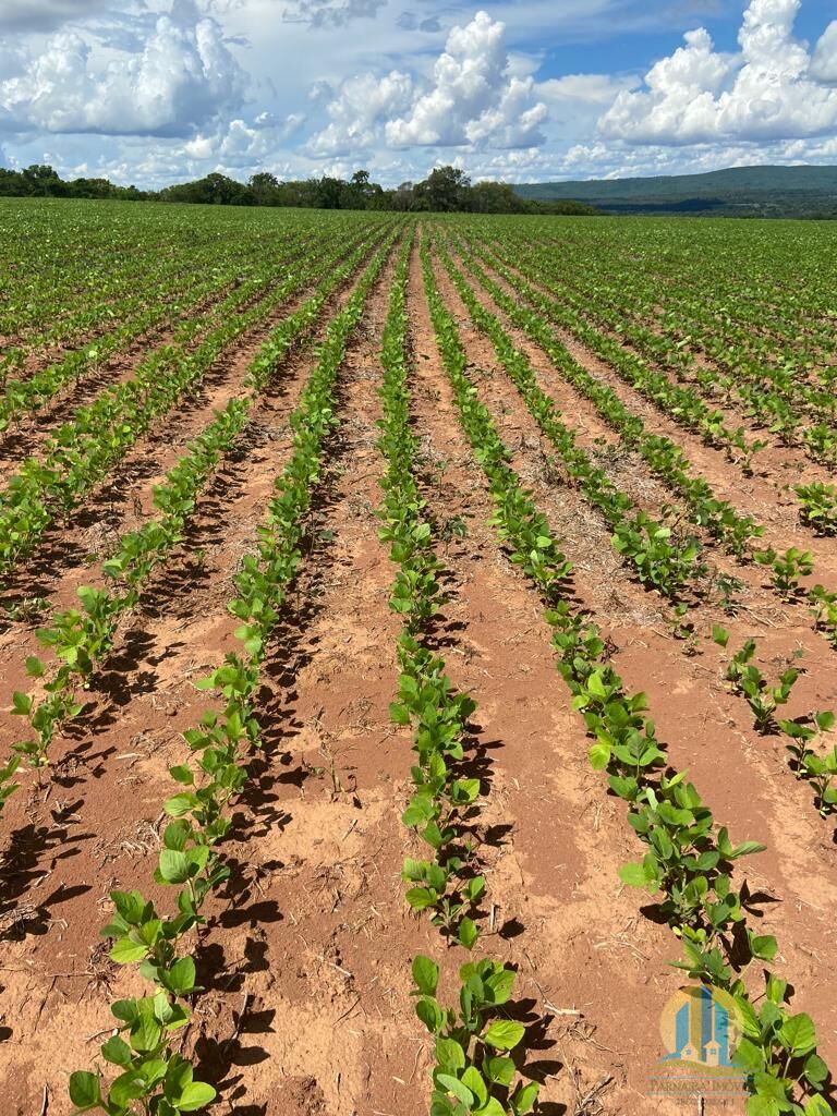 Fazenda em Montes Claros de Goiás/Goiás — Ref UZTUDM — Imagem 12