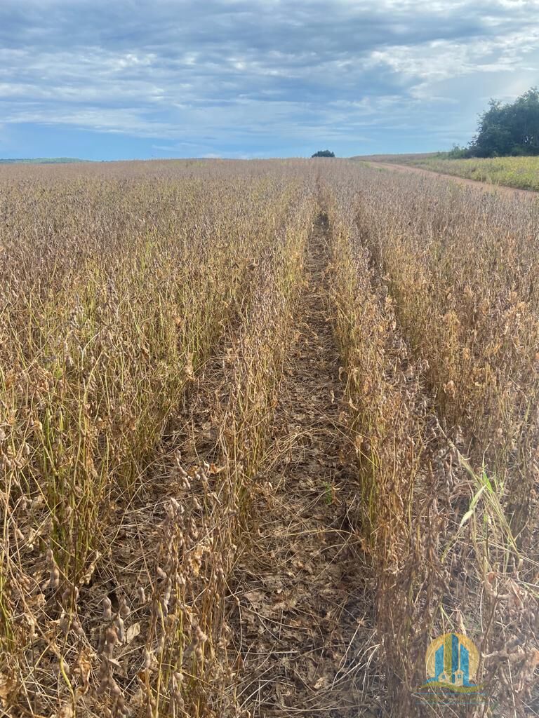 Fazenda em Montes Claros de Goiás/Goiás — Ref UZTUDM — Imagem 13