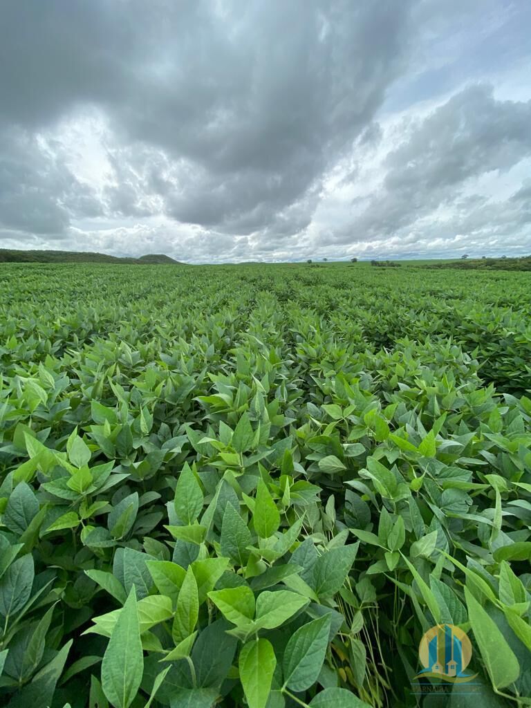 Fazenda em Montes Claros de Goiás/Goiás — Ref UZTUDM — Imagem 4