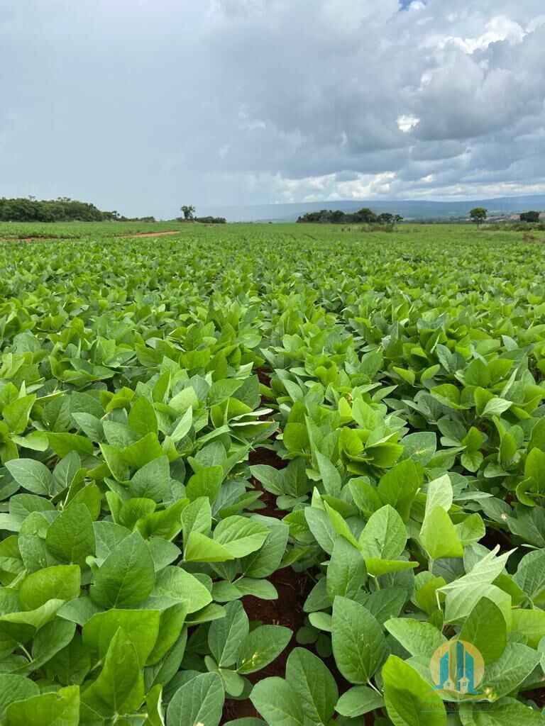 Fazenda em Montes Claros de Goiás/Goiás — Ref UZTUDM — Imagem 6