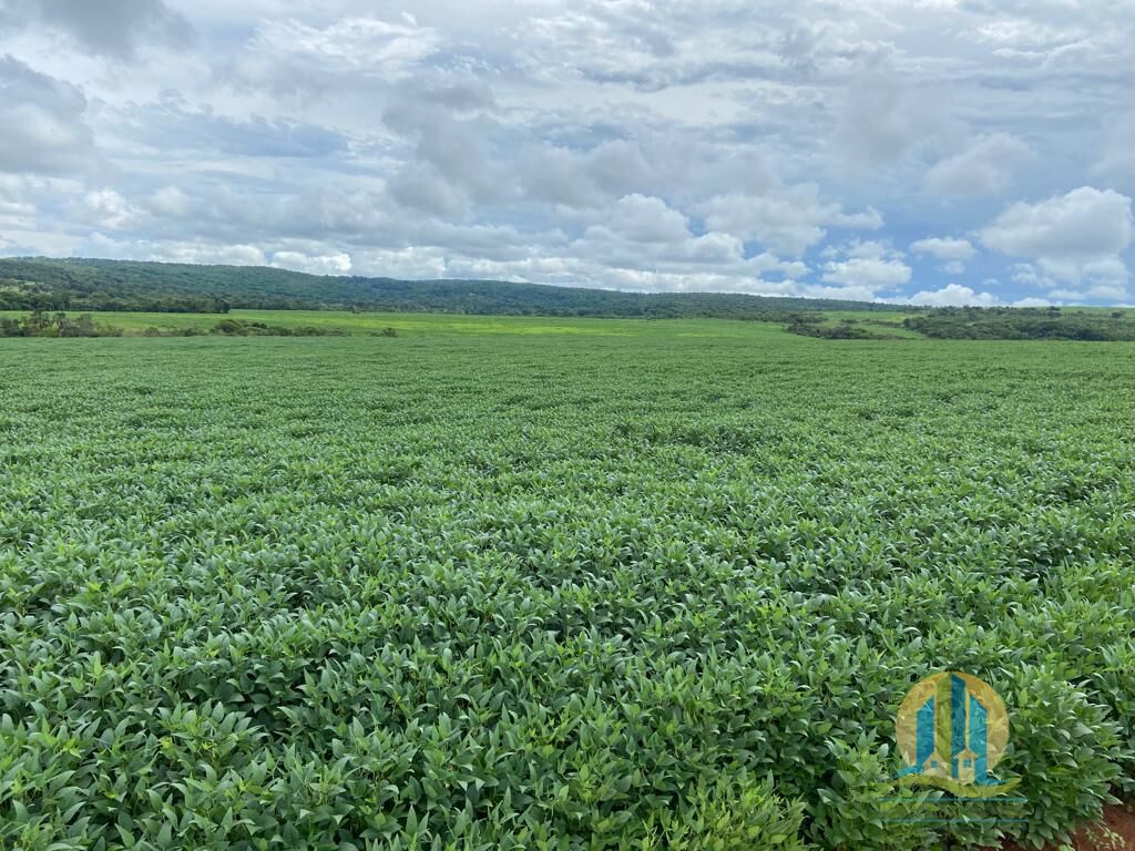 Fazenda em Montes Claros de Goiás/Goiás — Ref UZTUDM — Imagem 8