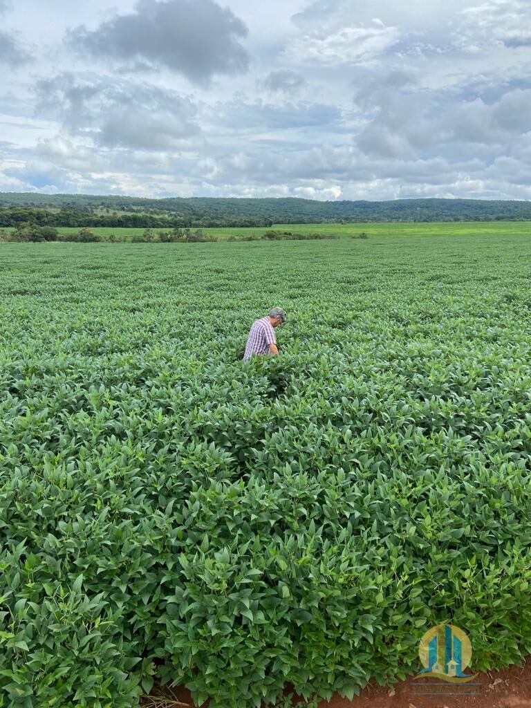 Fazenda em Montes Claros de Goiás/Goiás — Ref UZTUDM — Imagem 10