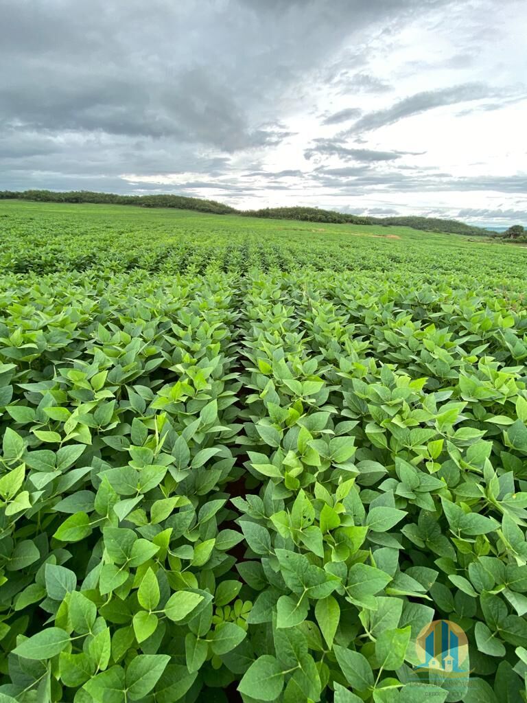 Fazenda em Montes Claros de Goiás/Goiás — Ref UZTUDM — Imagem 2