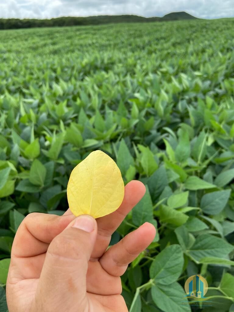 Fazenda em Montes Claros de Goiás/Goiás — Ref UZTUDM — Imagem 3