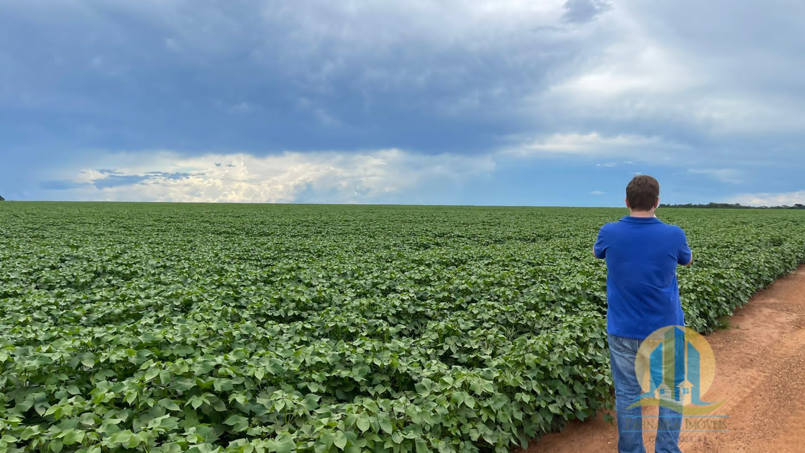 Fazenda em Ipiranga do Norte/Mato Grosso — Ref COOEW8 — Imagem 8