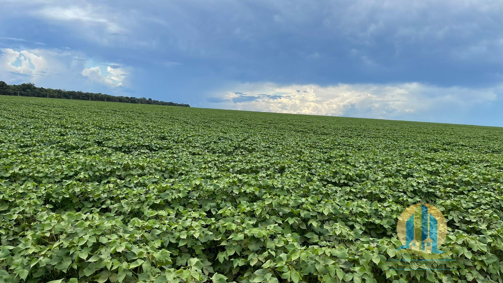 Fazenda em Ipiranga do Norte/Mato Grosso — Ref COOEW8 — Imagem 11