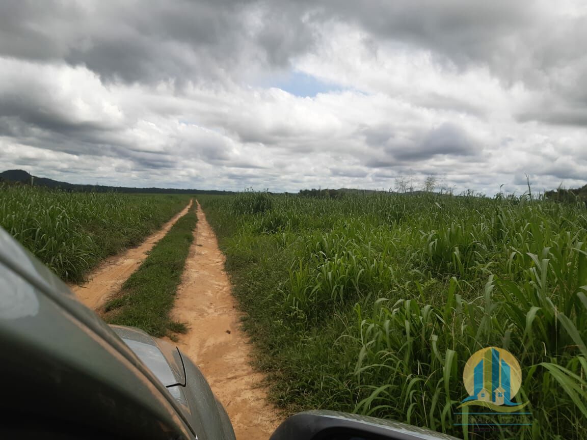 Fazenda em Goiatins/Tocantins — Ref 8QI5IA — Imagem 19