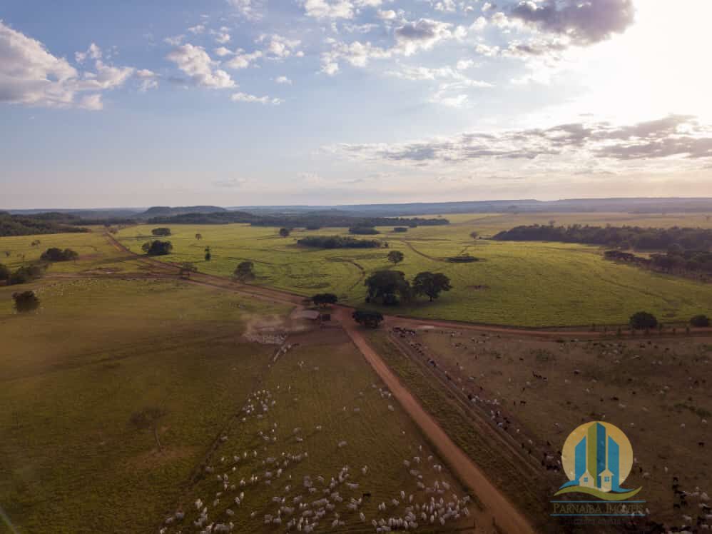 Fazenda em Goiatins/Tocantins — Ref 8QI5IA — Imagem 5