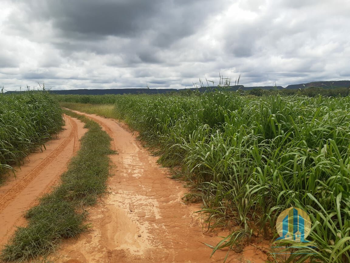 Fazenda em Goiatins/Tocantins — Ref 8QI5IA — Imagem 15