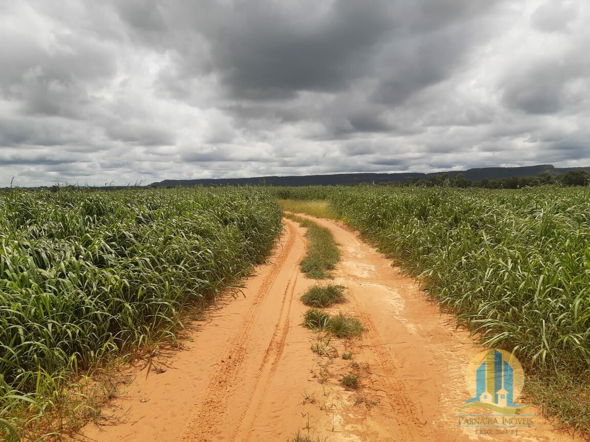 Fazenda em Goiatins/Tocantins — Ref 8QI5IA — Imagem 20