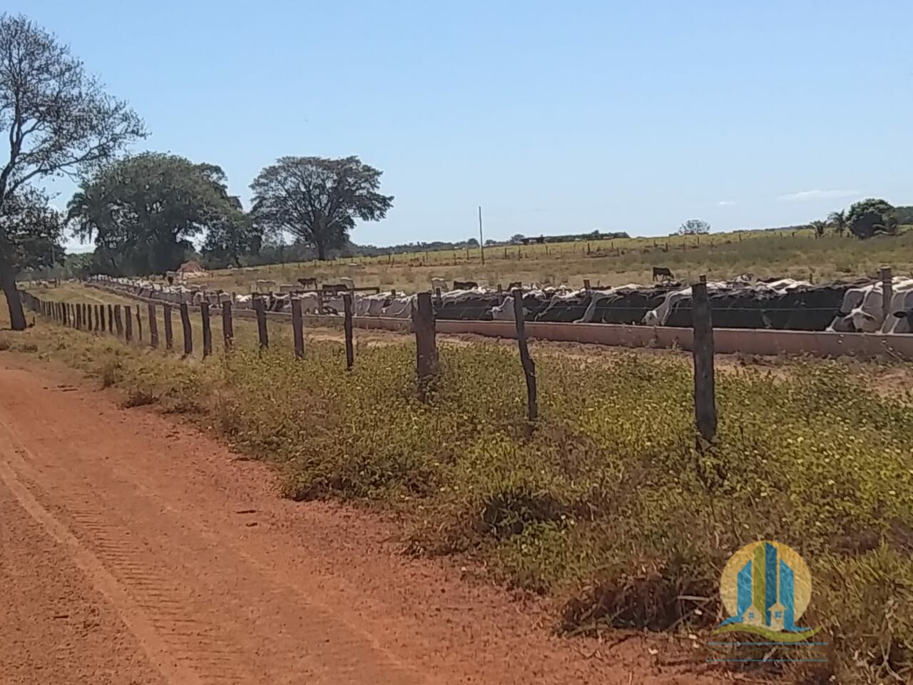 Fazenda em Goiatins/Tocantins — Ref 8QI5IA — Imagem 3