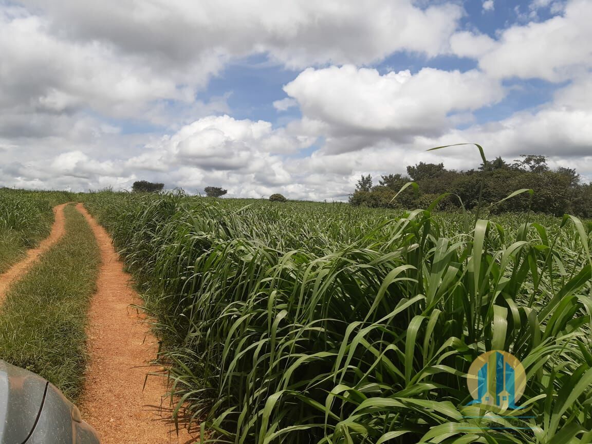 Fazenda em Goiatins/Tocantins — Ref 8QI5IA — Imagem 18