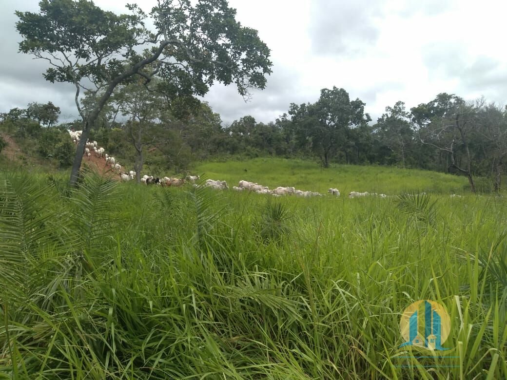 Fazenda em Goiatins/Tocantins — Ref 8QI5IA — Imagem 2