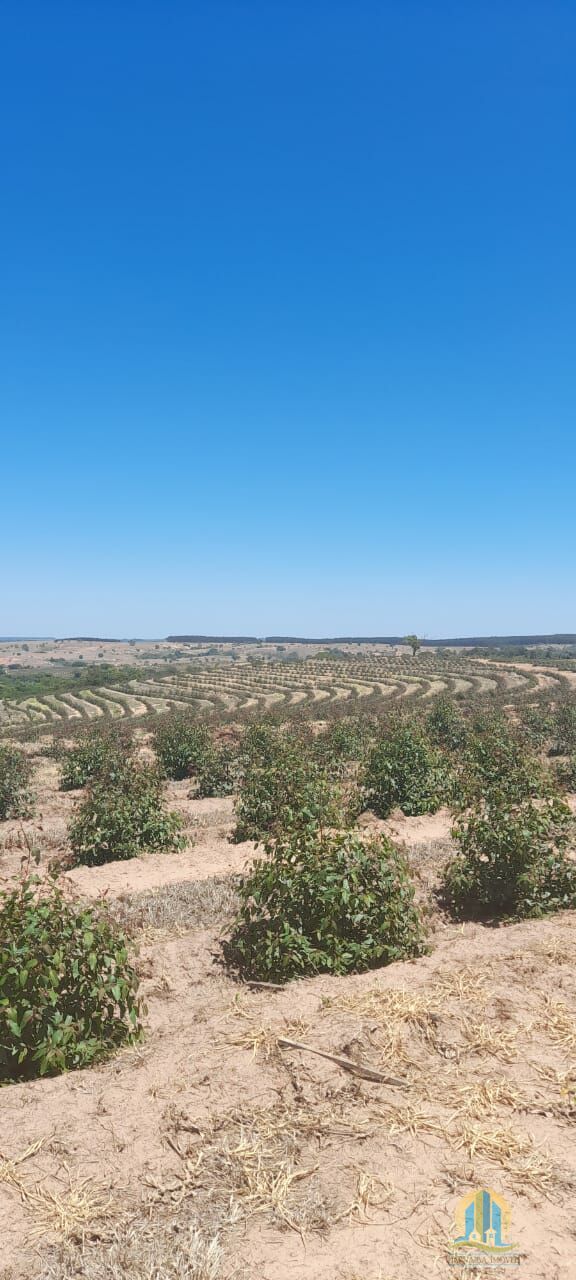 Fazenda em Bauru/São Paulo — Ref O8EJXD — Imagem 3