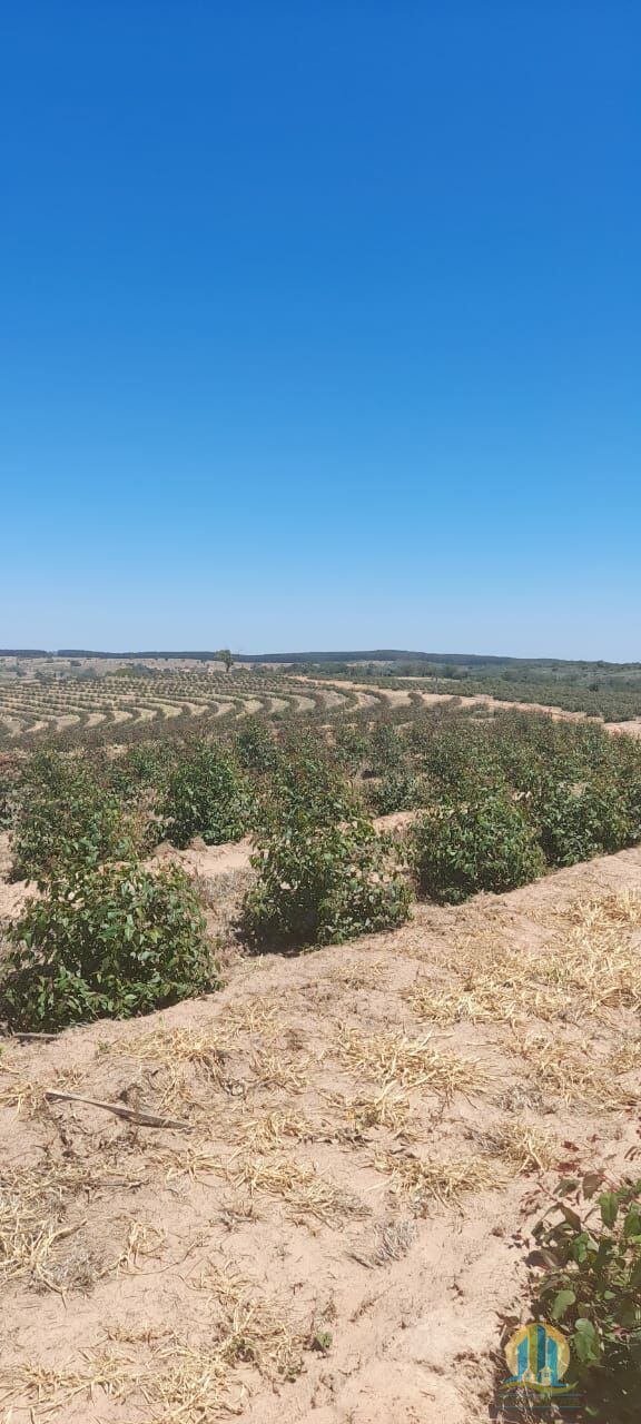 Fazenda em Bauru/São Paulo — Ref O8EJXD — Imagem 2