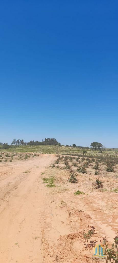 Fazenda em Bauru/São Paulo — Ref O8EJXD — Imagem 10