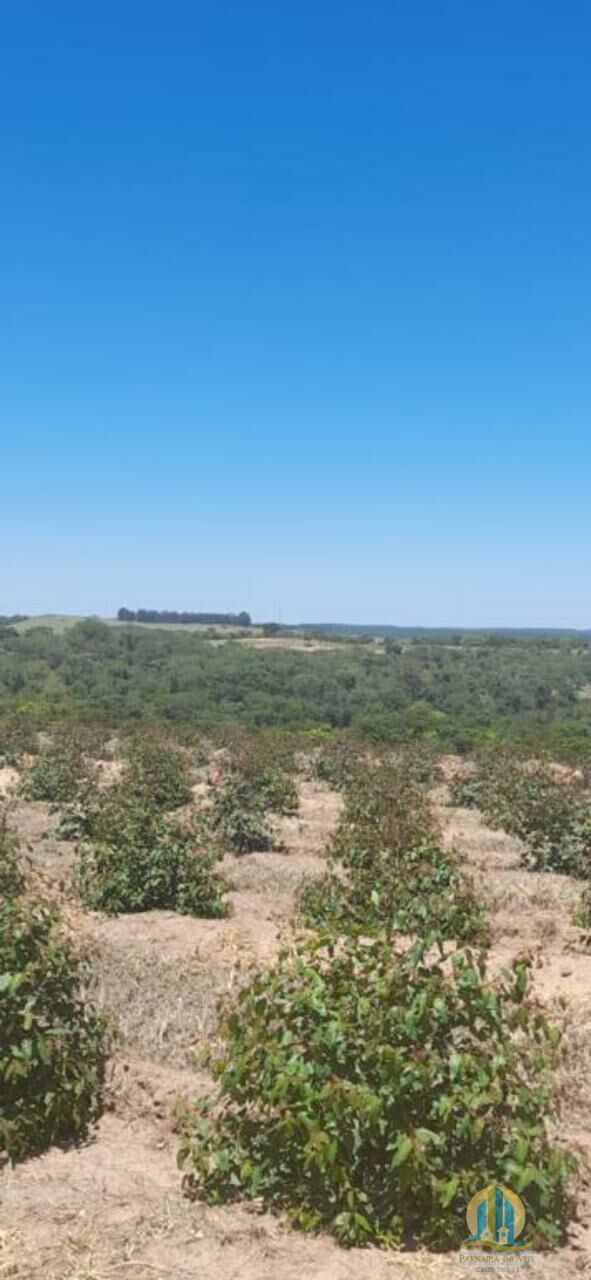 Fazenda em Bauru/São Paulo — Ref O8EJXD — Imagem 7