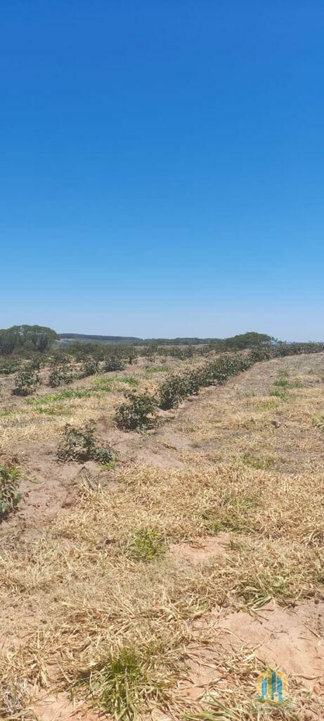 Fazenda em Bauru/São Paulo — Ref O8EJXD — Imagem 8