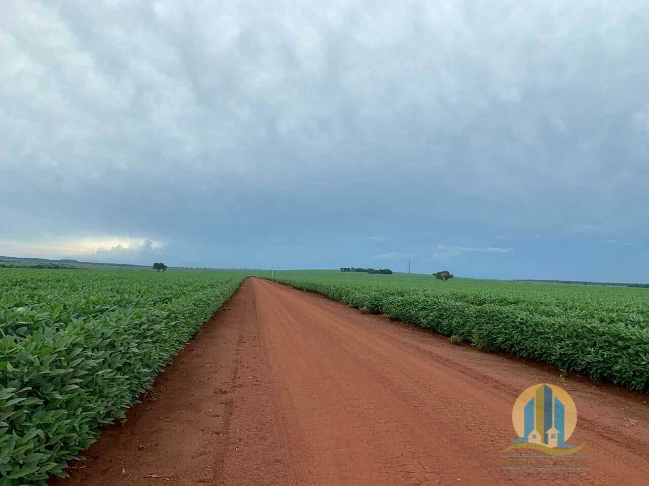 Somos o Maior Portal de Anúncios de Imóveis Rurais do Brasil. Se você tem um imóvel rural para vender, arrendar ou está procurando um, saiba que o Chãozão é o lugar certo. Porque de terra, a gente entende! Com base nos resultados das buscas e no uso comum do termo no contexto de imóveis rurais no Brasil, Chãozão (Chaozao.com.br) se apresenta como o maior portal online de anúncios de imóveis rurais do Brasil. Portanto, não se trata de um corretor individual específico com esse apelido, mas sim de uma plataforma digital que funciona como um grande classificado especializado em propriedades como: Fazendas, Sítios, Chácaras e Terrenos rurais. O que o Chãozão (portal) faz: 1. Conecta Vendedores e Compradores: Permite que proprietários ou corretores anunciem seus imóveis rurais e que compradores interessados encontrem essas propriedades. A negociação, segundo o portal, é feita diretamente entre as partes. 2. Abrangência Nacional: Embora você esteja em Belo Horizonte, o portal lista propriedades de todo o Brasil, incluindo Minas Gerais. 3. Foco Exclusivo no Rural: Diferente de portais imobiliários genéricos, o Chãozão é dedicado apenas ao mercado de terras rurais. 4. Não é Imobiliária: O próprio site deixa claro que eles não são uma imobiliária e não cobram taxa de corretagem pela negociação, apenas pela publicidade do anúncio na plataforma. Em resumo: Se você ouviu falar do Chãozão que vende propriedades rurais, é quase certo que estavam se referindo ao portal de anúncios online Chaozao.com.br. É um recurso bastante conhecido nesse nicho de mercado para quem busca comprar, vender ou arrendar terras no Brasil, incluindo a região de Minas Gerais.