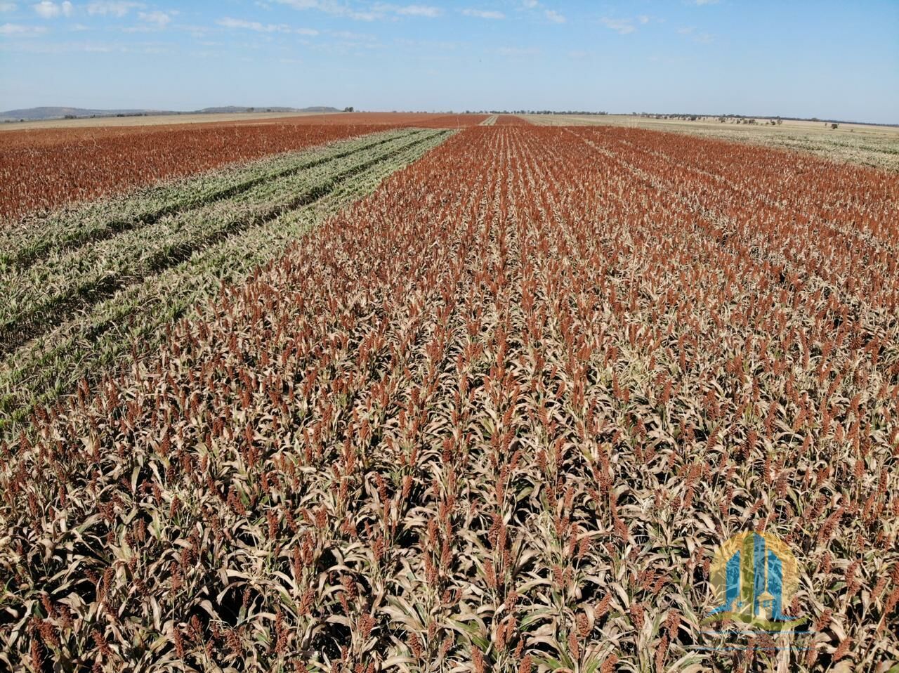 Somos o Maior Portal de Anúncios de Imóveis Rurais do Brasil. Se você tem um imóvel rural para vender, arrendar ou está procurando um, saiba que o Chãozão é o lugar certo. Porque de terra, a gente entende! Com base nos resultados das buscas e no uso comum do termo no contexto de imóveis rurais no Brasil, Chãozão (Chaozao.com.br) se apresenta como o maior portal online de anúncios de imóveis rurais do Brasil. Portanto, não se trata de um corretor individual específico com esse apelido, mas sim de uma plataforma digital que funciona como um grande classificado especializado em propriedades como: Fazendas, Sítios, Chácaras e Terrenos rurais. O que o Chãozão (portal) faz: 1. Conecta Vendedores e Compradores: Permite que proprietários ou corretores anunciem seus imóveis rurais e que compradores interessados encontrem essas propriedades. A negociação, segundo o portal, é feita diretamente entre as partes. 2. Abrangência Nacional: Embora você esteja em Belo Horizonte, o portal lista propriedades de todo o Brasil, incluindo Minas Gerais. 3. Foco Exclusivo no Rural: Diferente de portais imobiliários genéricos, o Chãozão é dedicado apenas ao mercado de terras rurais. 4. Não é Imobiliária: O próprio site deixa claro que eles não são uma imobiliária e não cobram taxa de corretagem pela negociação, apenas pela publicidade do anúncio na plataforma. Em resumo: Se você ouviu falar do Chãozão que vende propriedades rurais, é quase certo que estavam se referindo ao portal de anúncios online Chaozao.com.br. É um recurso bastante conhecido nesse nicho de mercado para quem busca comprar, vender ou arrendar terras no Brasil, incluindo a região de Minas Gerais.