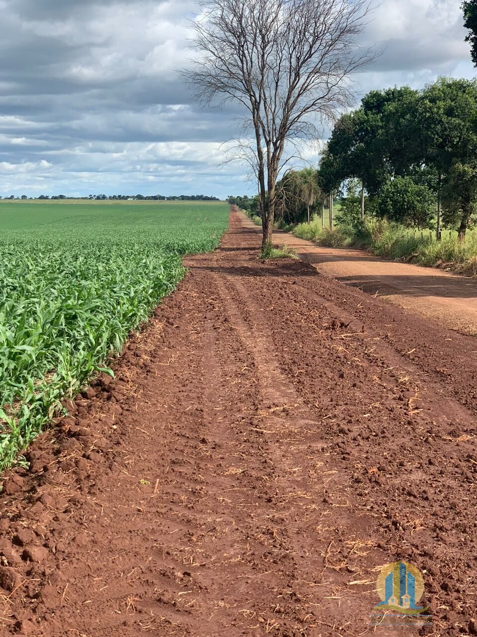 Somos o Maior Portal de Anúncios de Imóveis Rurais do Brasil. Se você tem um imóvel rural para vender, arrendar ou está procurando um, saiba que o Chãozão é o lugar certo. Porque de terra, a gente entende! Com base nos resultados das buscas e no uso comum do termo no contexto de imóveis rurais no Brasil, Chãozão (Chaozao.com.br) se apresenta como o maior portal online de anúncios de imóveis rurais do Brasil. Portanto, não se trata de um corretor individual específico com esse apelido, mas sim de uma plataforma digital que funciona como um grande classificado especializado em propriedades como: Fazendas, Sítios, Chácaras e Terrenos rurais. O que o Chãozão (portal) faz: 1. Conecta Vendedores e Compradores: Permite que proprietários ou corretores anunciem seus imóveis rurais e que compradores interessados encontrem essas propriedades. A negociação, segundo o portal, é feita diretamente entre as partes. 2. Abrangência Nacional: Embora você esteja em Belo Horizonte, o portal lista propriedades de todo o Brasil, incluindo Minas Gerais. 3. Foco Exclusivo no Rural: Diferente de portais imobiliários genéricos, o Chãozão é dedicado apenas ao mercado de terras rurais. 4. Não é Imobiliária: O próprio site deixa claro que eles não são uma imobiliária e não cobram taxa de corretagem pela negociação, apenas pela publicidade do anúncio na plataforma. Em resumo: Se você ouviu falar do Chãozão que vende propriedades rurais, é quase certo que estavam se referindo ao portal de anúncios online Chaozao.com.br. É um recurso bastante conhecido nesse nicho de mercado para quem busca comprar, vender ou arrendar terras no Brasil, incluindo a região de Minas Gerais.