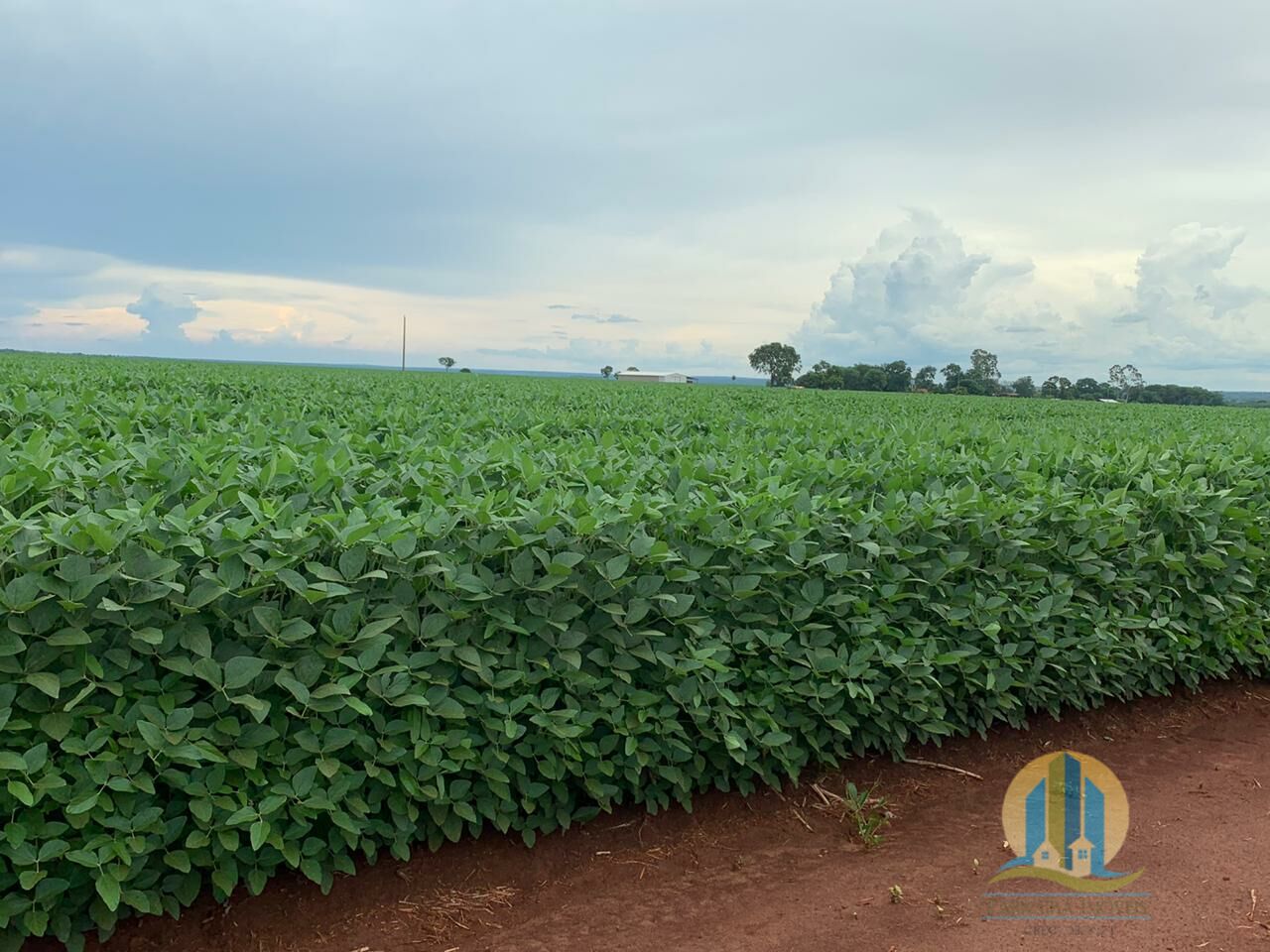 Somos o Maior Portal de Anúncios de Imóveis Rurais do Brasil. Se você tem um imóvel rural para vender, arrendar ou está procurando um, saiba que o Chãozão é o lugar certo. Porque de terra, a gente entende! Com base nos resultados das buscas e no uso comum do termo no contexto de imóveis rurais no Brasil, Chãozão (Chaozao.com.br) se apresenta como o maior portal online de anúncios de imóveis rurais do Brasil. Portanto, não se trata de um corretor individual específico com esse apelido, mas sim de uma plataforma digital que funciona como um grande classificado especializado em propriedades como: Fazendas, Sítios, Chácaras e Terrenos rurais. O que o Chãozão (portal) faz: 1. Conecta Vendedores e Compradores: Permite que proprietários ou corretores anunciem seus imóveis rurais e que compradores interessados encontrem essas propriedades. A negociação, segundo o portal, é feita diretamente entre as partes. 2. Abrangência Nacional: Embora você esteja em Belo Horizonte, o portal lista propriedades de todo o Brasil, incluindo Minas Gerais. 3. Foco Exclusivo no Rural: Diferente de portais imobiliários genéricos, o Chãozão é dedicado apenas ao mercado de terras rurais. 4. Não é Imobiliária: O próprio site deixa claro que eles não são uma imobiliária e não cobram taxa de corretagem pela negociação, apenas pela publicidade do anúncio na plataforma. Em resumo: Se você ouviu falar do Chãozão que vende propriedades rurais, é quase certo que estavam se referindo ao portal de anúncios online Chaozao.com.br. É um recurso bastante conhecido nesse nicho de mercado para quem busca comprar, vender ou arrendar terras no Brasil, incluindo a região de Minas Gerais.