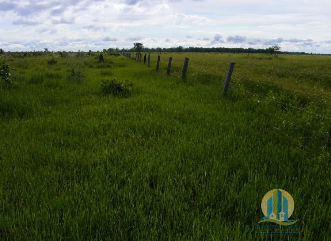 Fazenda em Cocalinho/Mato Grosso — Ref 2DIEE1 — Imagem 5